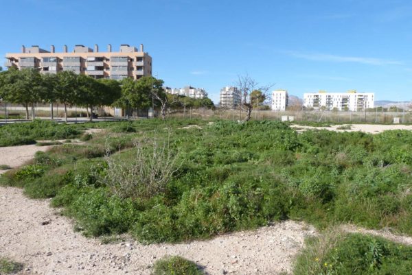 venta-parcela-san-juan-alicante-592-metros-verde