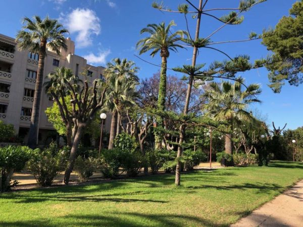 venta-piso-urbanizacion-las-jacarandas-san-juan-alicante-218-metros-general